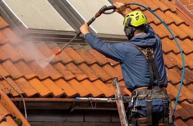 Démoussage et hydrofuge de toiture à Lémeré